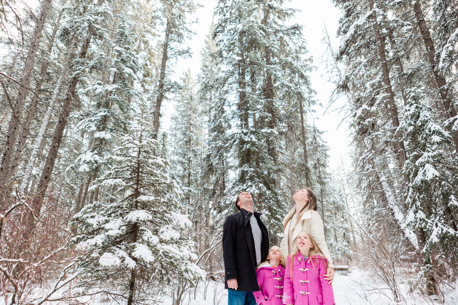 Winter Sessions calgary family photographer